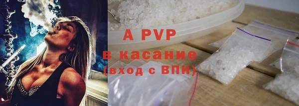 индика Нефтегорск
