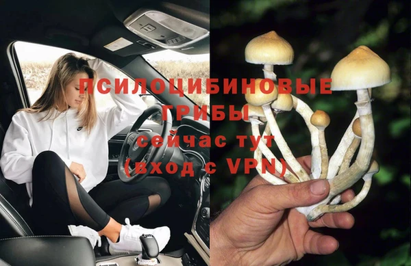 ГАЛЛЮЦИНОГЕННЫЕ ГРИБЫ Нефтекумск
