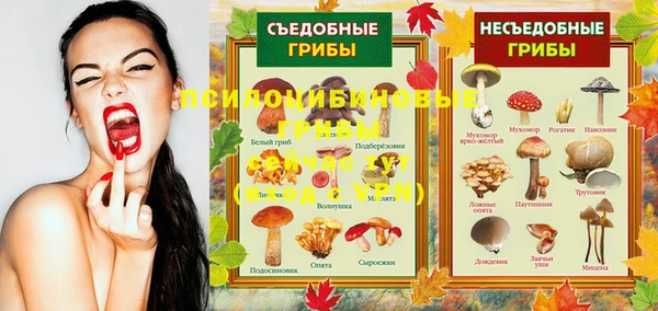 мескалин Новозыбков