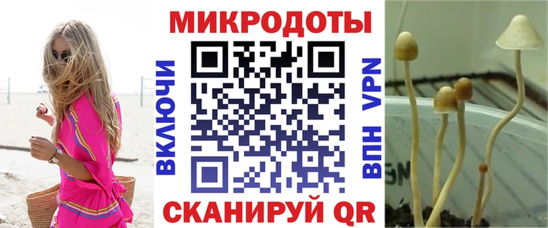 Галлюциногенные грибы мухоморы  Заволжье 
