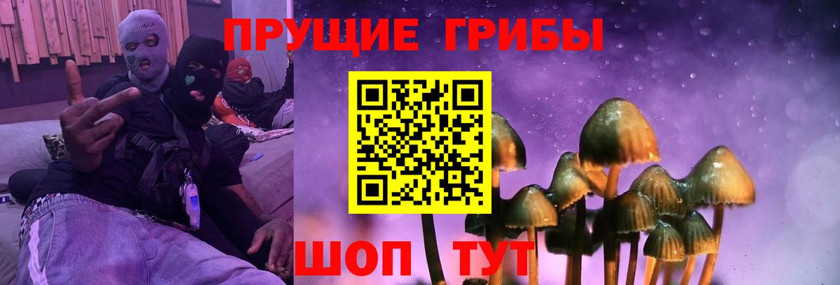 Галлюциногенные грибы MAGIC MUSHROOMS  Вход с VPN  где найти наркотики  Заволжье 